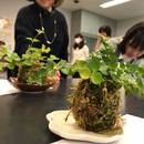 アトリエゆずかの講座の風景