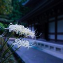 マインドフル・フォトグラフィの講座の風景