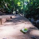 マインドフル・フォトグラフィの講座の風景