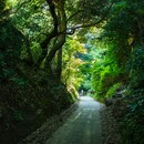 マインドフル・フォトグラフィの講座の風景