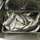 【開講中】子連れOKの家庭料理教室【なつやすみ】の講座の風景