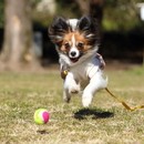 フォトグラファーじゅんぺいのフォトレッスンの講座の風景