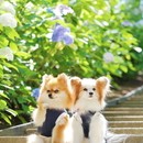 フォトグラファーじゅんぺいのフォトレッスンの講座の風景