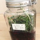 内側からのキレイと健康を☆の講座の風景