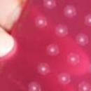 内側からのキレイと健康を☆の講座の風景