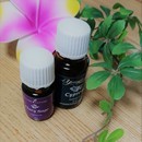 顔コリほぐし＆アロマセラピー「アロマルームここち」の講座の風景