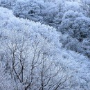 憧憬フォトクラブ（SPC）の講座の風景