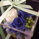 ニューキャベンディッシュ　～美人塾～の講座の風景