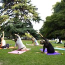AmamiYogaの講座の風景