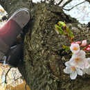 大阪ライブシアターの講座の風景