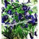 毎日食べたくなるハーブごはん教室の講座の風景