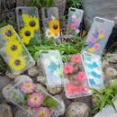 お花で創るレジンアクセサリー/スマホワークショップの講座の風景