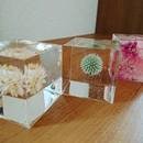 Brillante Rosa(ブリ＊ロザ)の講座の風景