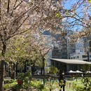 Kids☆craftアルバム作りワークショップの講座の風景