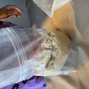 Daisy-Communeの講座の風景