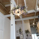 canohaの講座の風景