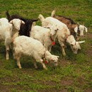 初心者でも楽しく理解できる！ドローンと動画編集講座の講座の風景