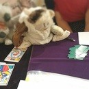 ヒントラボ　あなたの新しい一歩を応援しますの講座の風景