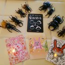親子で楽しく簡単コーチング♪ピットインカード体験会の講座の風景