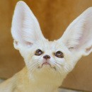 ヌール・クリエイティブ・アカデミーの講座の風景