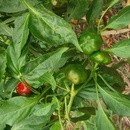 ★★Yuko★★’ｓ　classの講座の風景