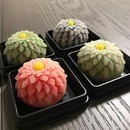 椅子に座って楽しむ「テーブル茶道」おもてなし茶の湯の講座の風景