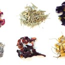 カフェオーナーが教える飲食店ワークショップの講座の風景