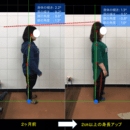 【あなたのスタイルの悩みを解決する】パーソナル指導の講座の風景
