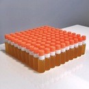 自然の恵みのみからの安全素材から得るピュア生活講座の講座の風景