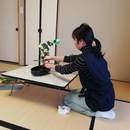 裏千家　茶道教室　波平庵　～茶道で心を満たす～の講座の風景