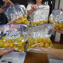 ひだまり茶会🍀の講座の風景