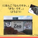あつし先生のオンライン日本語教室（Atsushi's Online Japanese Classroom）の開催する講座の風景