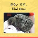 あつし先生のオンライン日本語教室（Atsushi's Online Japanese Classroom）の開催する講座の風景