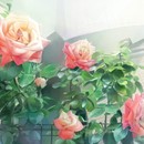 【オンライン】パソコンで絵画やイラストを楽しもう！の講座の風景