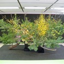 ご自宅の飾りたい場所に合わせて花レッスンをしますの講座の風景