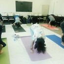 マインドフルネス ヨガ横浜YunaYogaの講座の風景