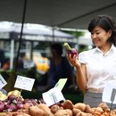 GIヘルスらぼ ★ お腹から健康を考えようの講座の風景