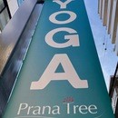 プラナツリーヨガ＆タイリラクゼーションの開催する講座の風景