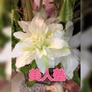 美人塾の開催する講座の風景