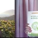 O脚を自分で治す3つの体操。(女性のみ)の講座の風景