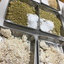 発酵食品 寺子屋の開催する講座の風景