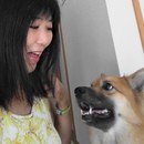 心理学をベースにした犬との暮らし方をアドバイスの講座の風景