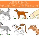 心理学をベースにした犬との暮らし方をアドバイスの講座の風景