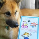 心理学をベースにした犬との暮らし方をアドバイスの講座の風景