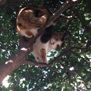 コンテンポラリーダンス専門教室の講座の風景