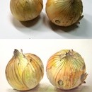 文画坊の開催する講座の風景