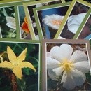 グラナディエ　　心と体の健康美をサポートの講座の風景