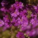 XPL→X Photo Laboratoryの開催する講座の風景