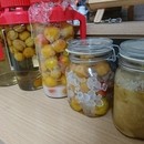 食品加工実習室の開催する講座の風景