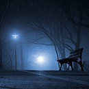 生涯現役、副業に誰でも何時からでも楽々時短タロットの講座の風景